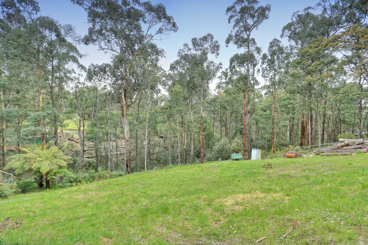 39 Mountain Road, Cockatoo, VIC 3781 - Thumbnail 1 - 20/05/2019