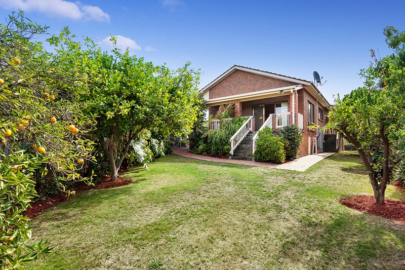 28 Samson Circuit, Caloundra West, QLD, 4551, Caloundra West - Thumbnail 6