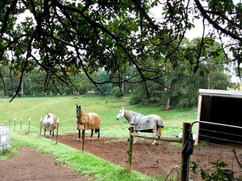 27 Gembrook Tonimbuk Road, Gembrook, VIC 3783 - Thumbnail 2 - 23/05/2019