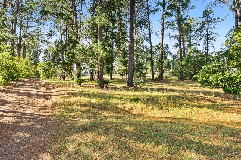 21 McDonald Avenue, Templestowe, VIC 3106, Templestowe - Thumbnail 6