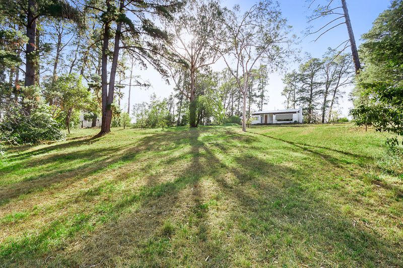 23 McDonald Avenue, Templestowe, VIC 3106, Templestowe - Thumbnail 5