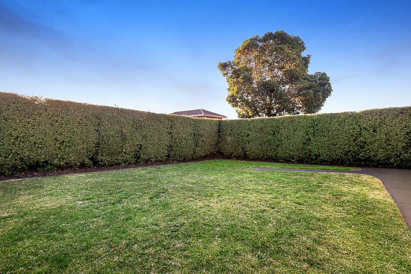 39 Dehnert StreetDoncaster East, VIC 3109, Doncaster East - Thumbnail 4