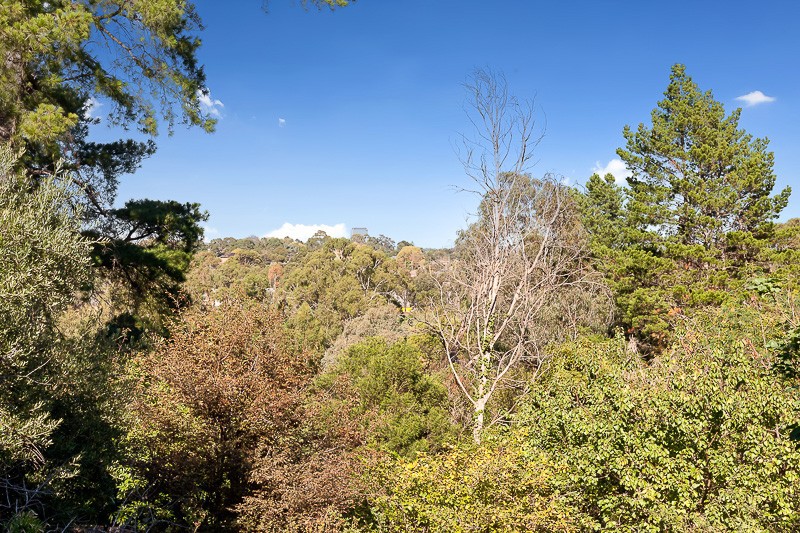 28 Larkspur Avenue, Doncaster, VIC 3108, Doncaster - Thumbnail 5