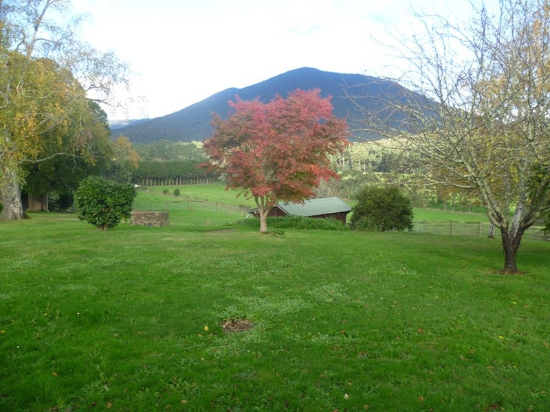 464 Maroondah Highway, Healesville, VIC 3777 - Thumbnail 2 - 23/05/2019