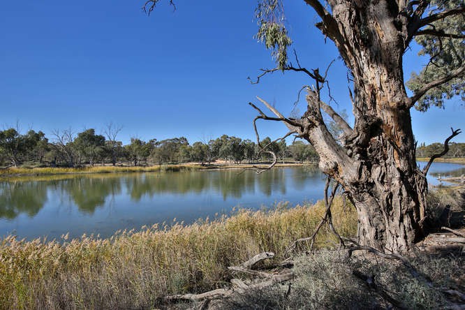 71 Sylvia Street, Yelta, VIC 3505 - Thumbnail 2 - 20/05/2019