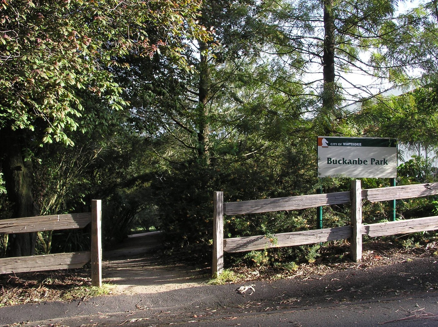 24 Grey StreetVermont, VIC 3133, Vermont - Thumbnail 5