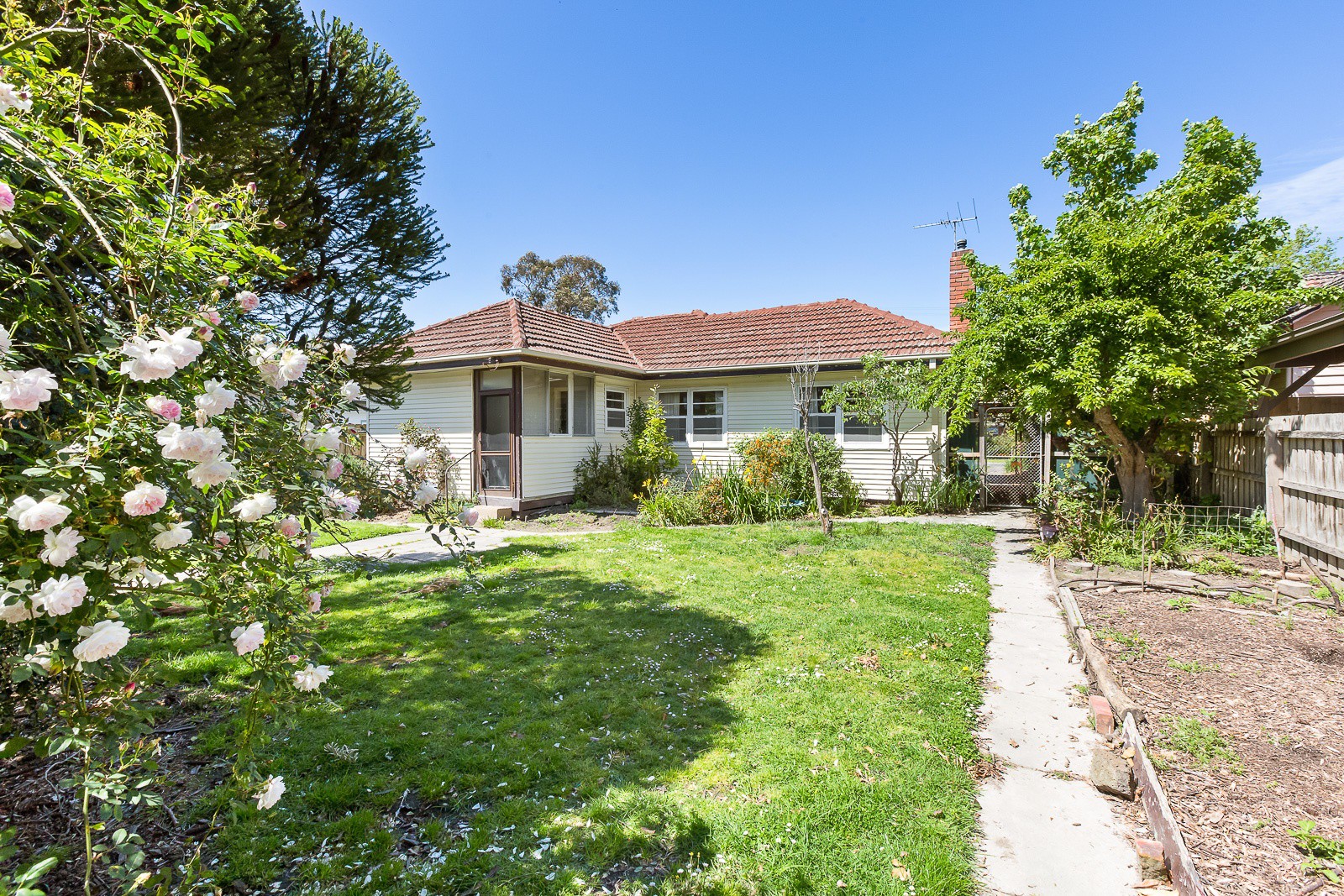 77 Esdale StreetNunawading, VIC 3131, Nunawading - Thumbnail 5