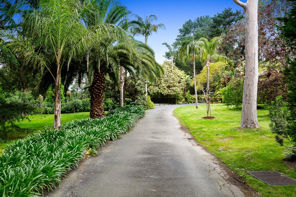 313 Springvale Road, Donvale, VIC 3111, Donvale - Thumbnail 2
