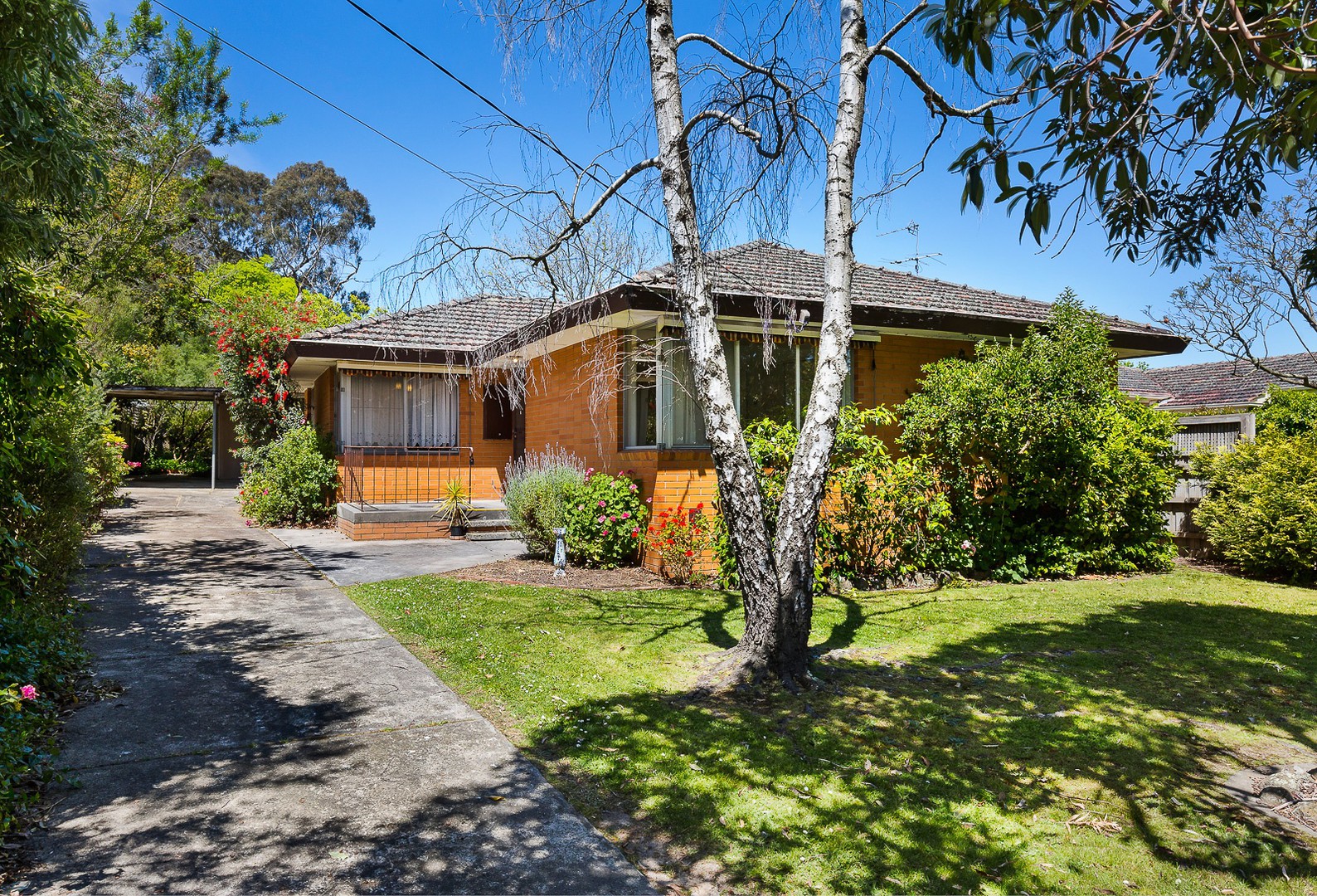 37 Samuel RoadBlackburn South, VIC 3130, Blackburn South - Thumbnail 2