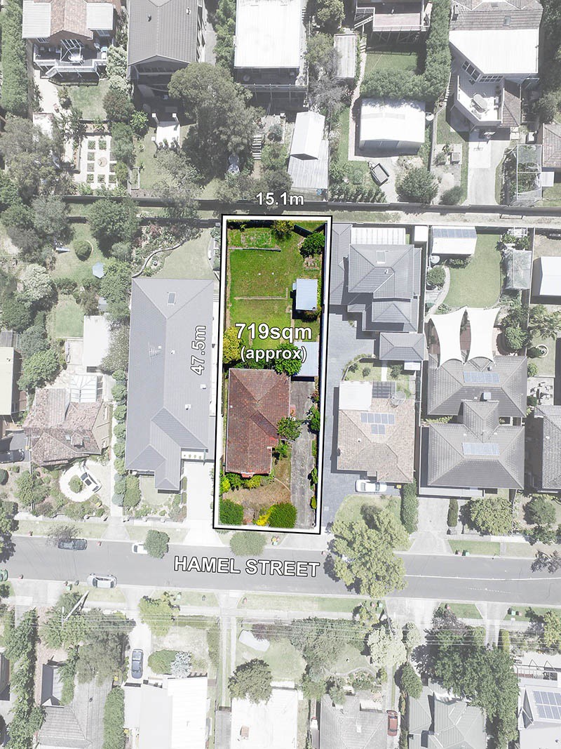 21 Hamel Street, Box Hill South, VIC 3128, Box Hill South - Thumbnail 3
