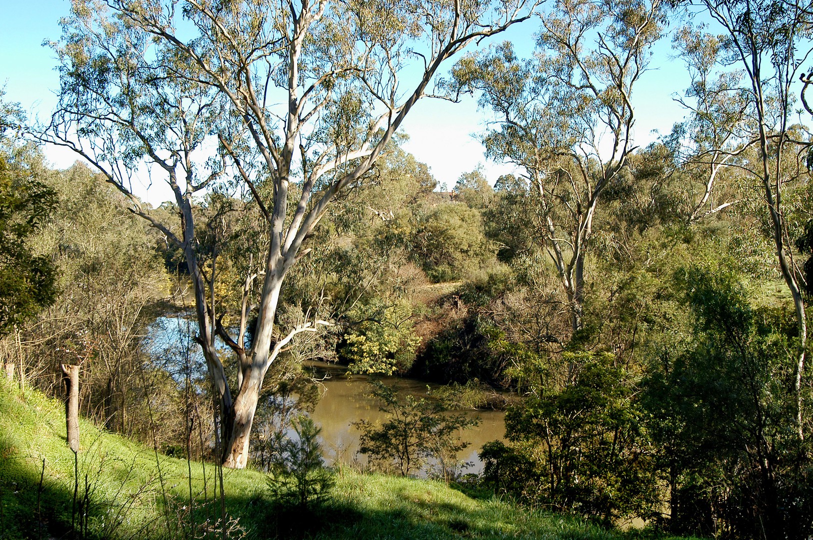 88 Brackenbury StreetWarrandyte, VIC 3113, Warrandyte - Thumbnail 6