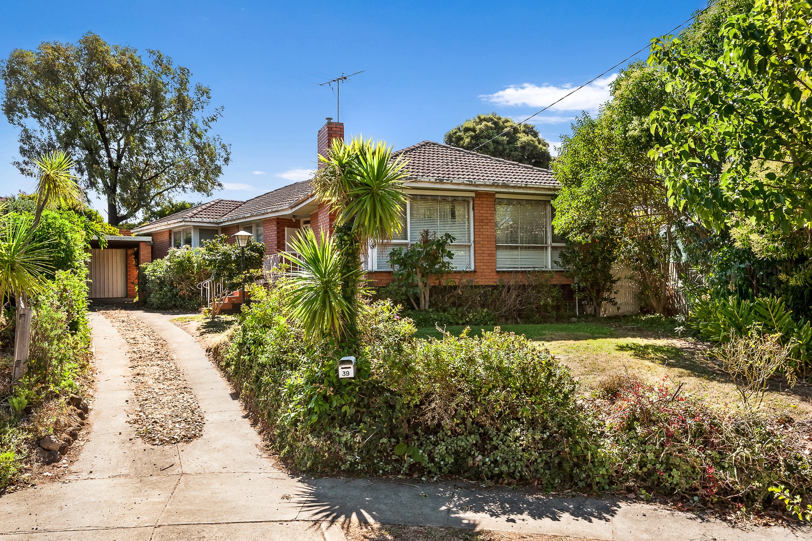 39 Kiewa Street, Doncaster, VIC 3108, Doncaster - Thumbnail 2