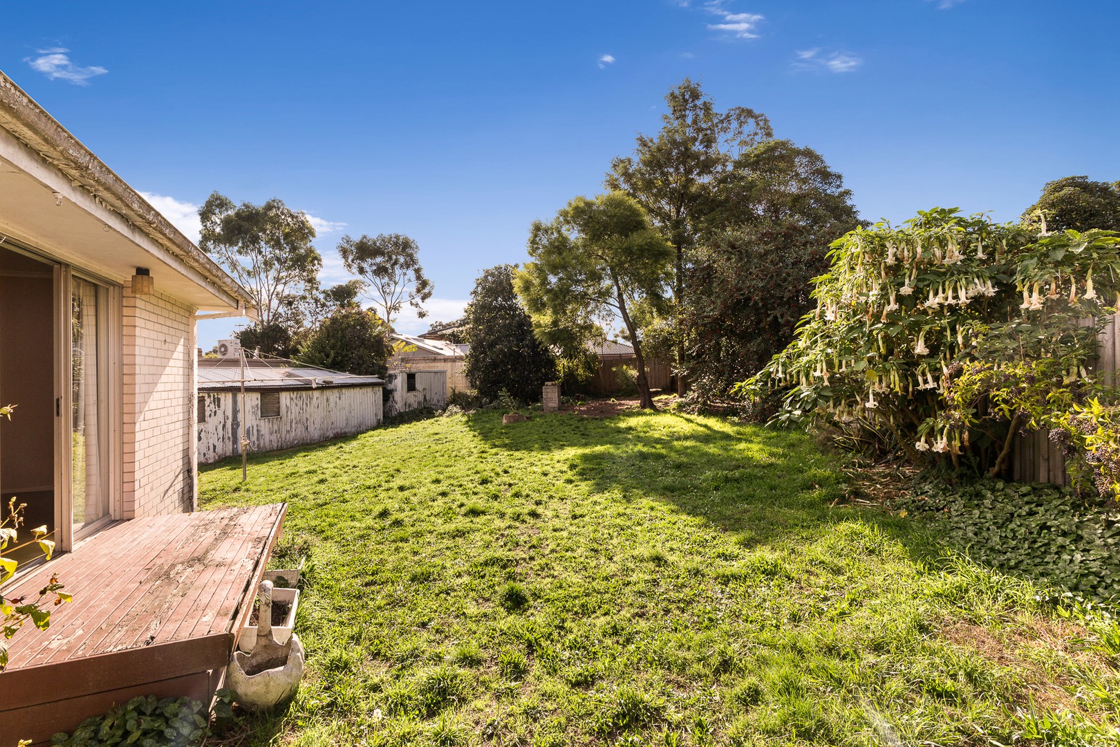 51 Chippewa Avenue, Donvale, VIC 3111, Donvale - Thumbnail 5