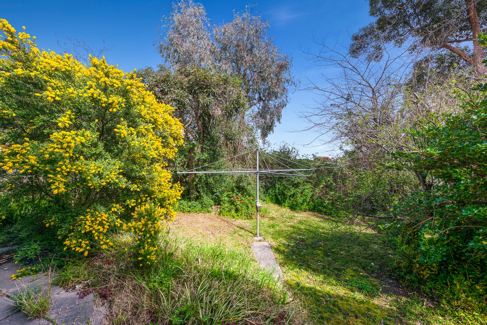 271 Blackburn Road, Doncaster East, VIC 3109, Doncaster East - Thumbnail 7