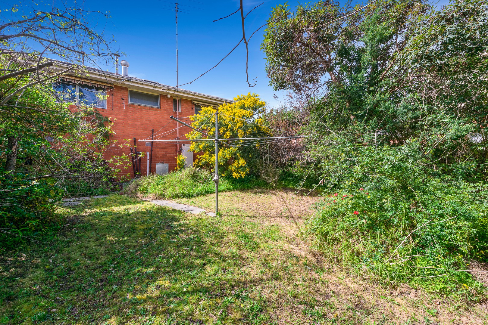 271 Blackburn Road, Doncaster East, VIC 3109, Doncaster East - Thumbnail 8