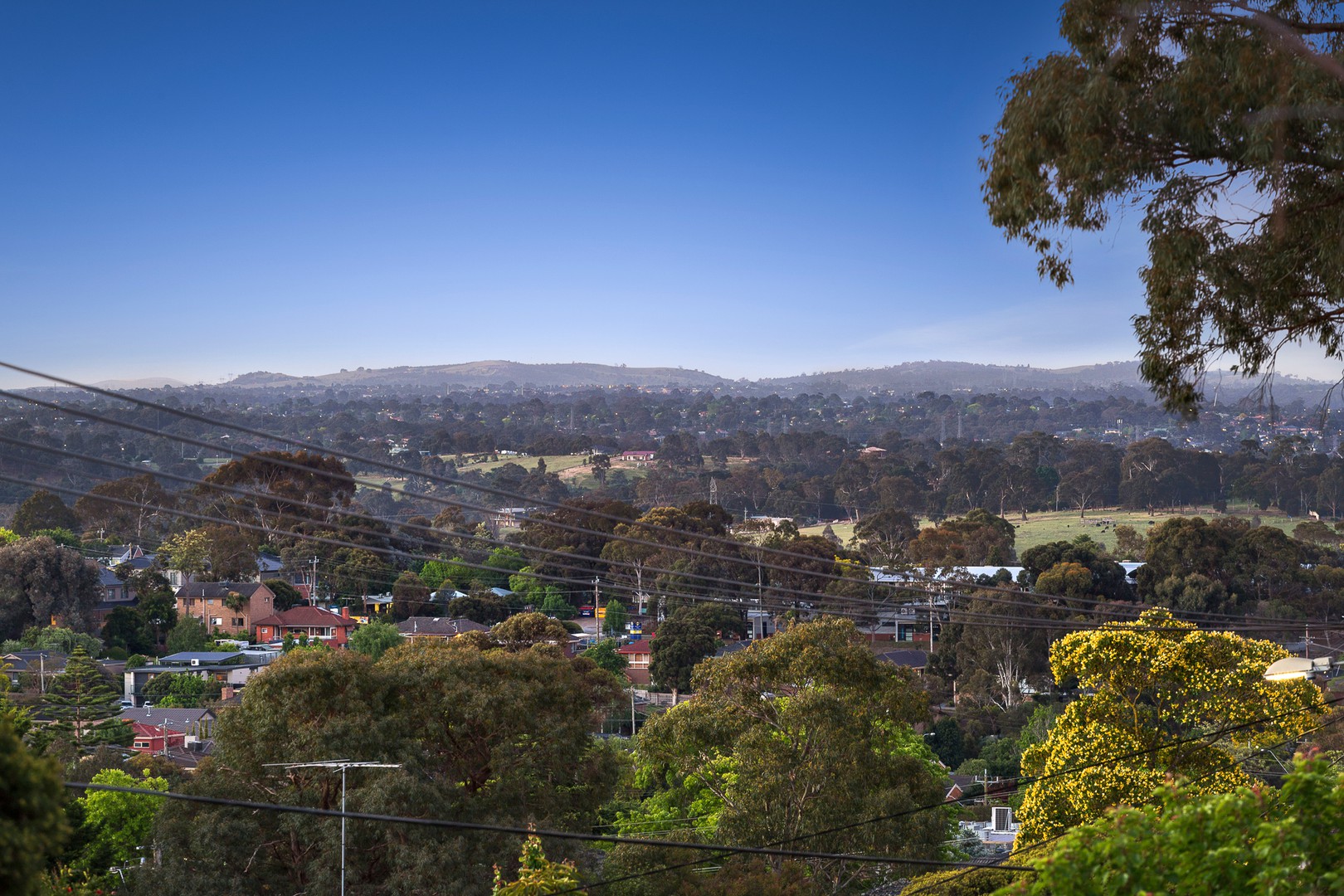 2A Arapilles DriveTemplestowe Lower, VIC 3107, Templestowe Lower - Thumbnail 2