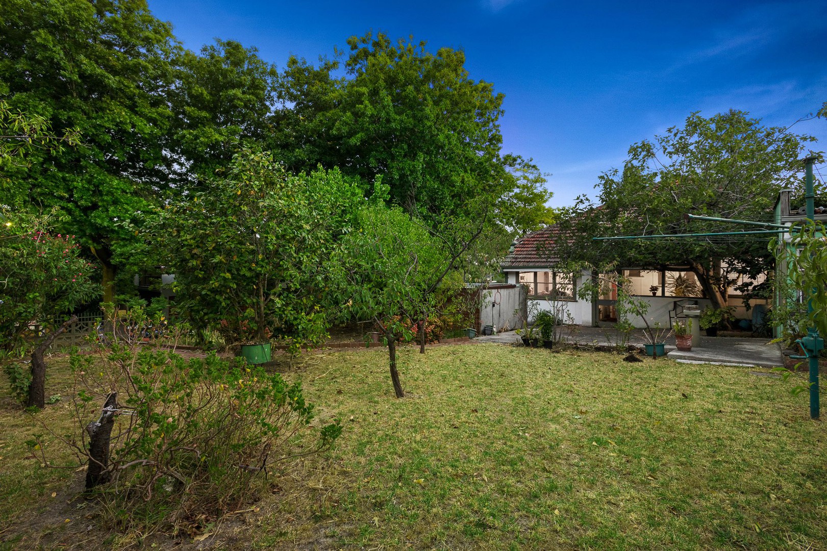 1183 Riversdale RoadBox Hill South, VIC 3128, Box Hill South - Thumbnail 8