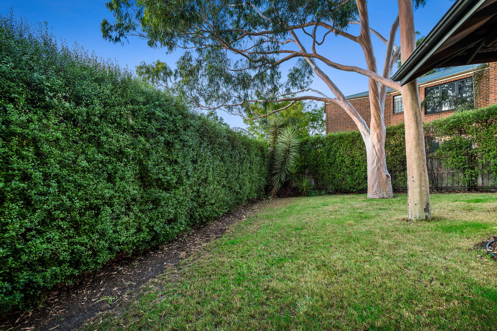 43 Atkinson StreetTemplestowe, VIC 3106, Templestowe - Thumbnail 8