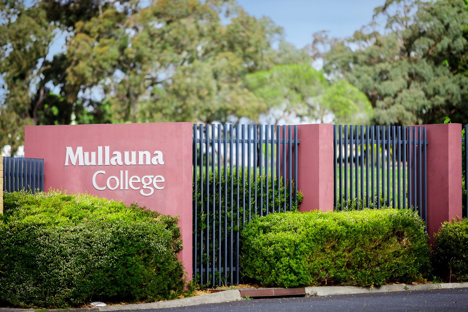5 William StreetDonvale, VIC 3111, Donvale - Thumbnail 5
