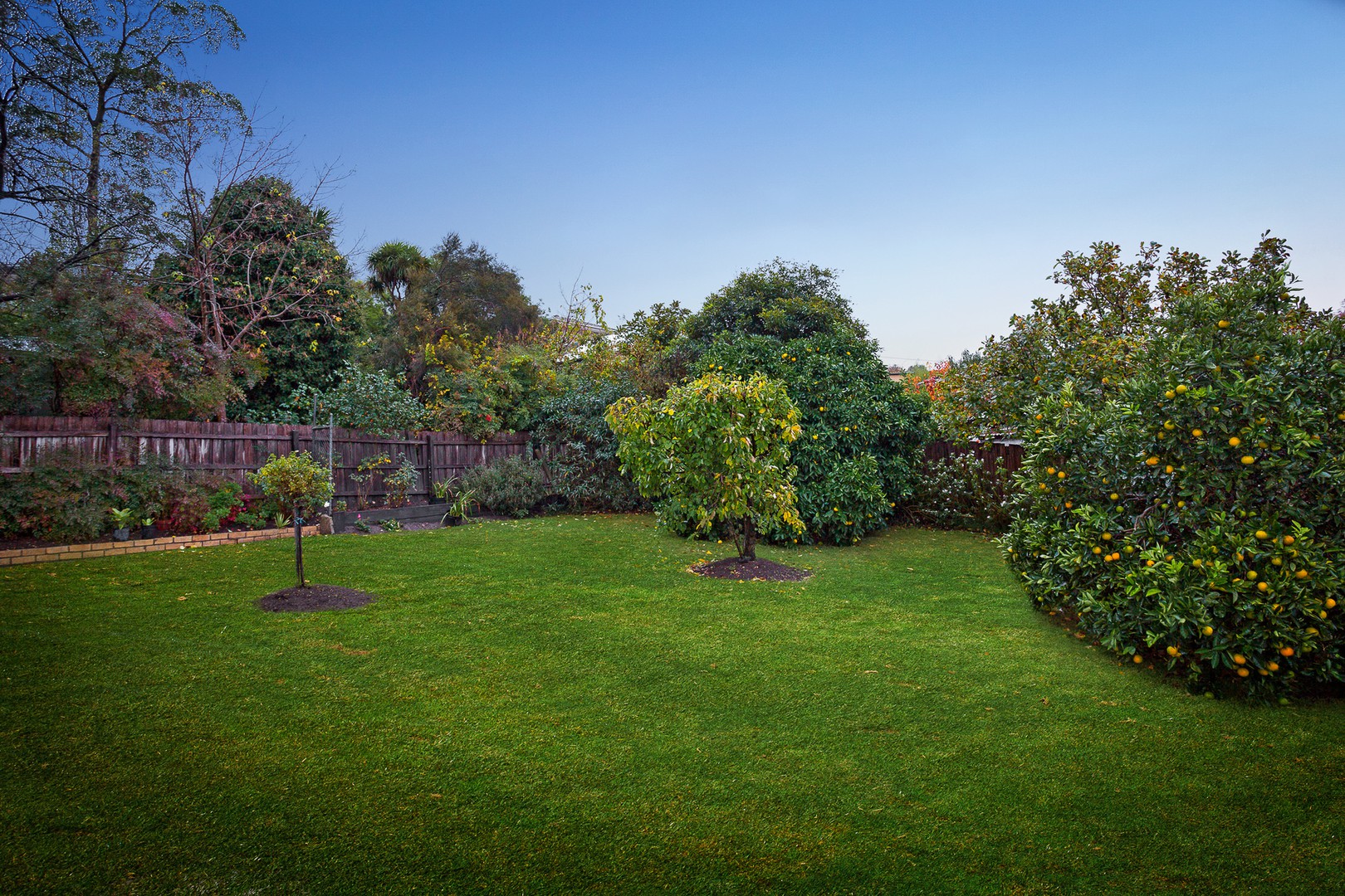 22 Baird Street SouthDoncaster, VIC 3108, Doncaster - Thumbnail 8