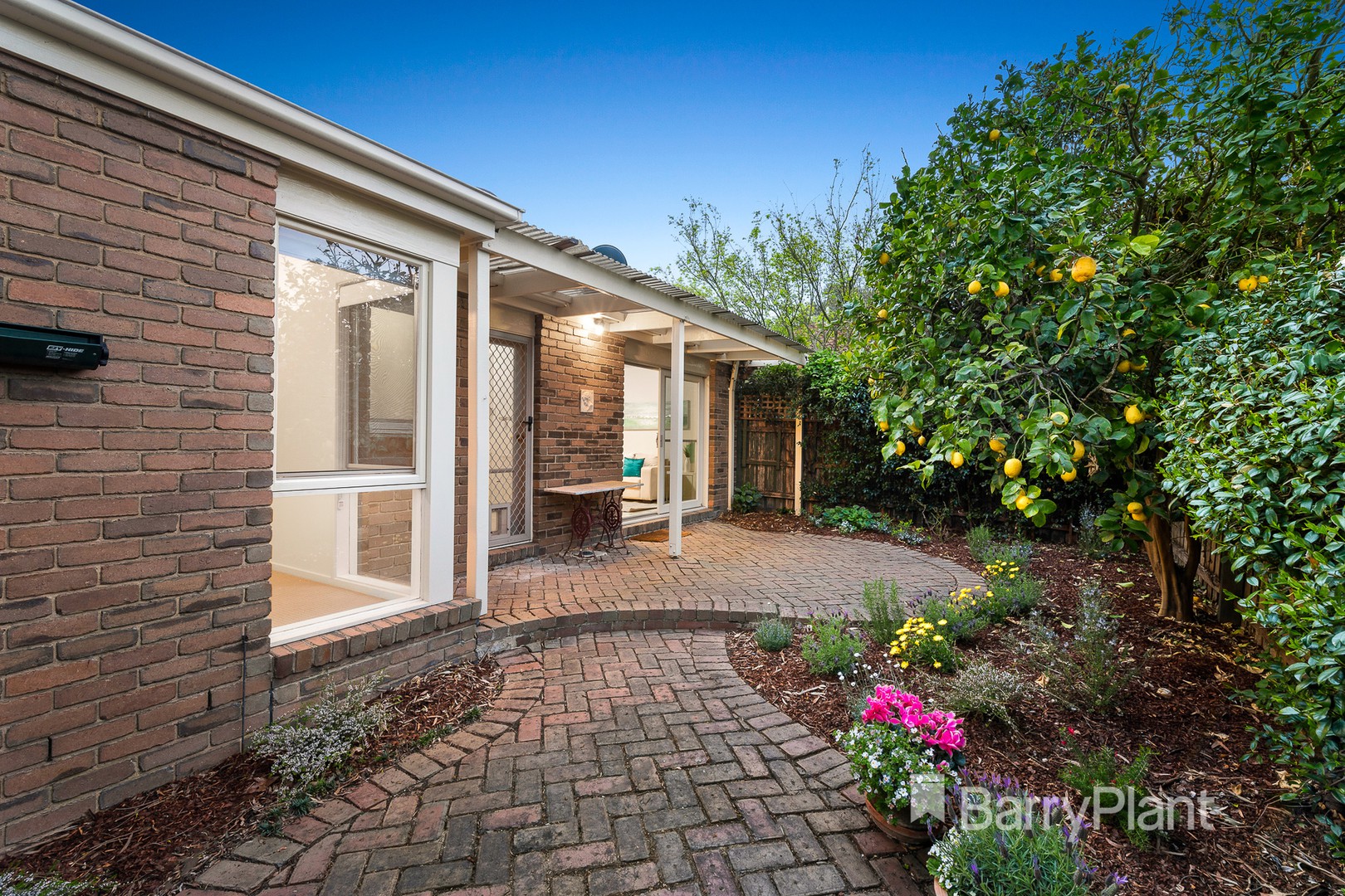 12 Gregory MewsForest Hill, VIC 3131, Forest Hill - Thumbnail 7