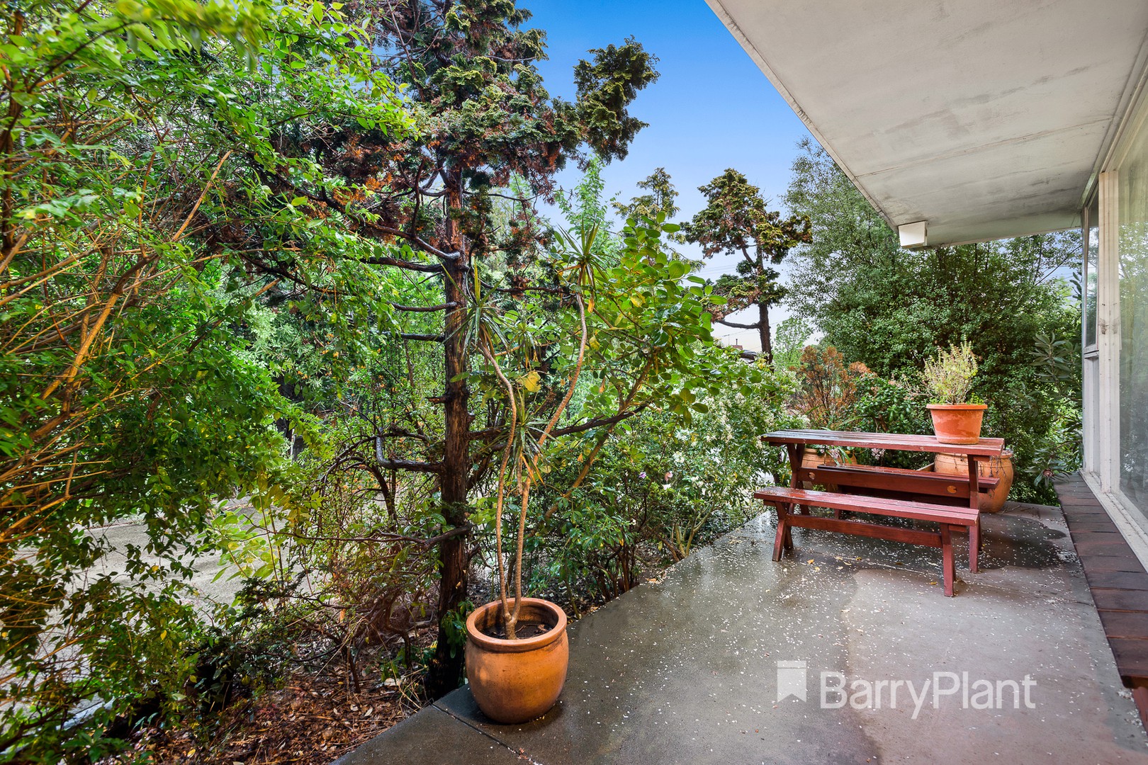 1/8 King Street, Buderim, QLD, 4556, Caboolture - Thumbnail 6