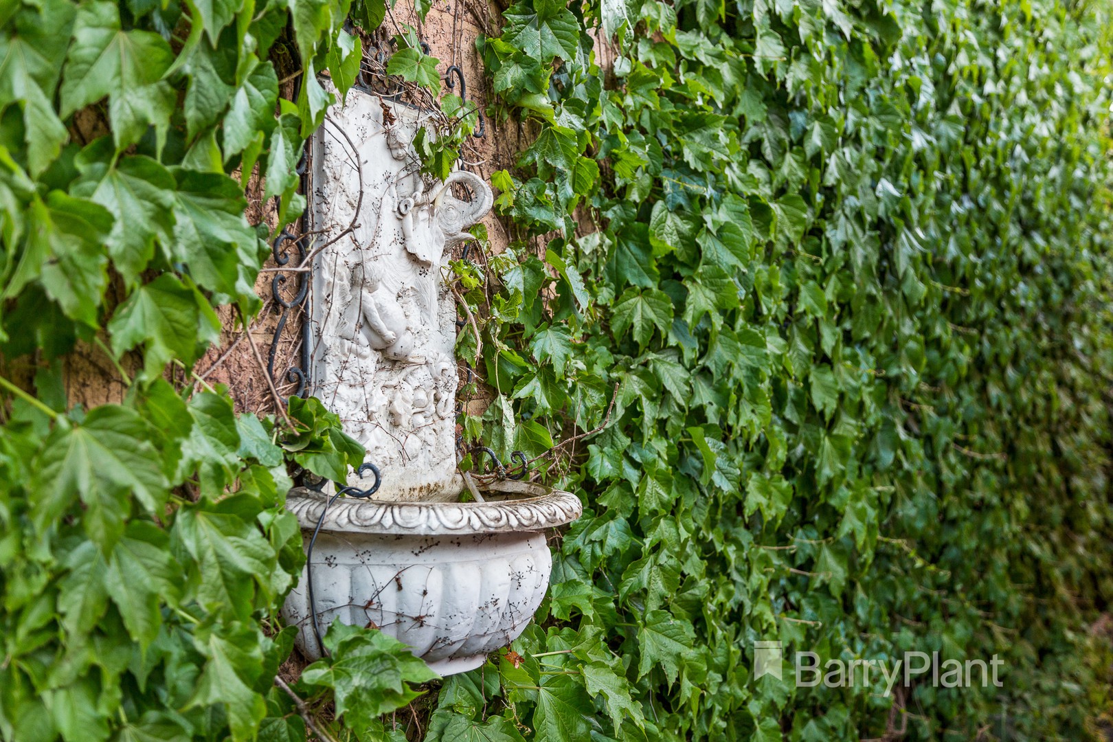 3 The ElmsDonvale, VIC 3111, Donvale - Thumbnail 8