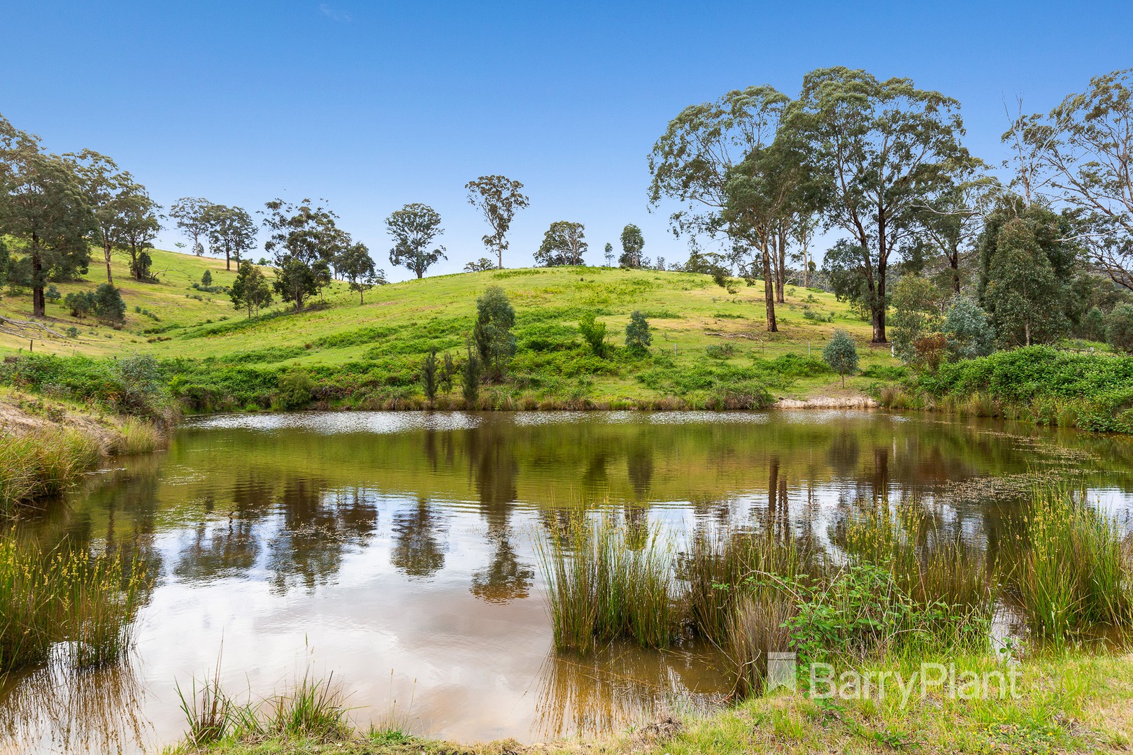 545 Bald Spur Road, St Andrews, VIC 3761 - Thumbnail 1 - 12/11/2018