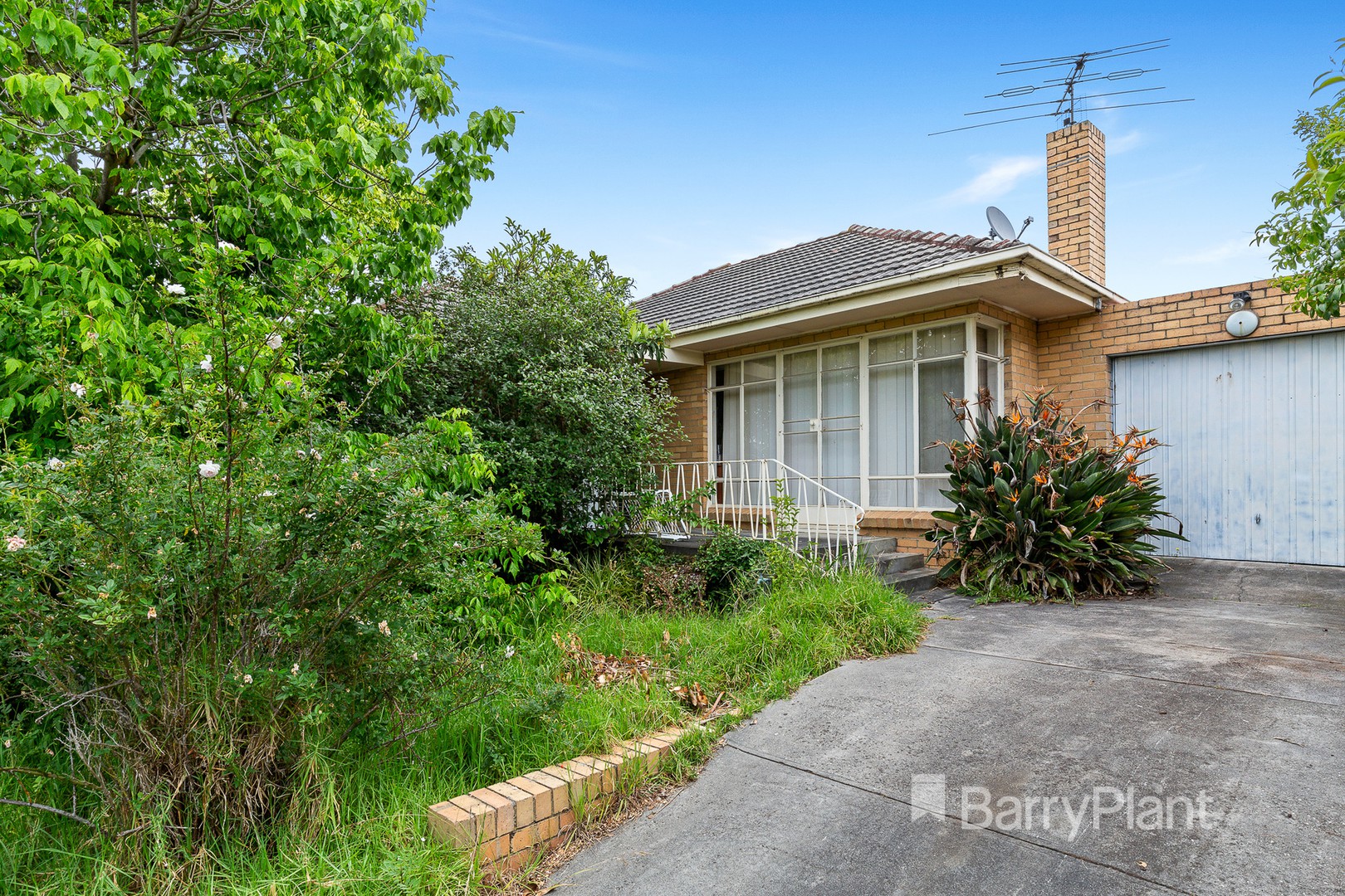 142 Ayr Street, Doncaster, VIC 3108, Bulleen - Thumbnail 3