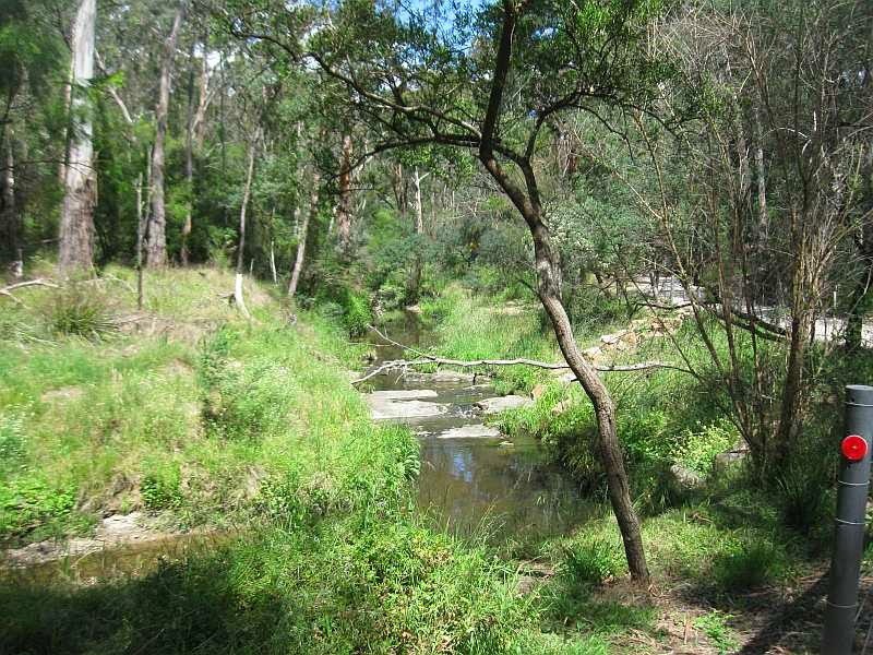 49 Berrima Road, Donvale, VIC 3111, Donvale - Thumbnail 6