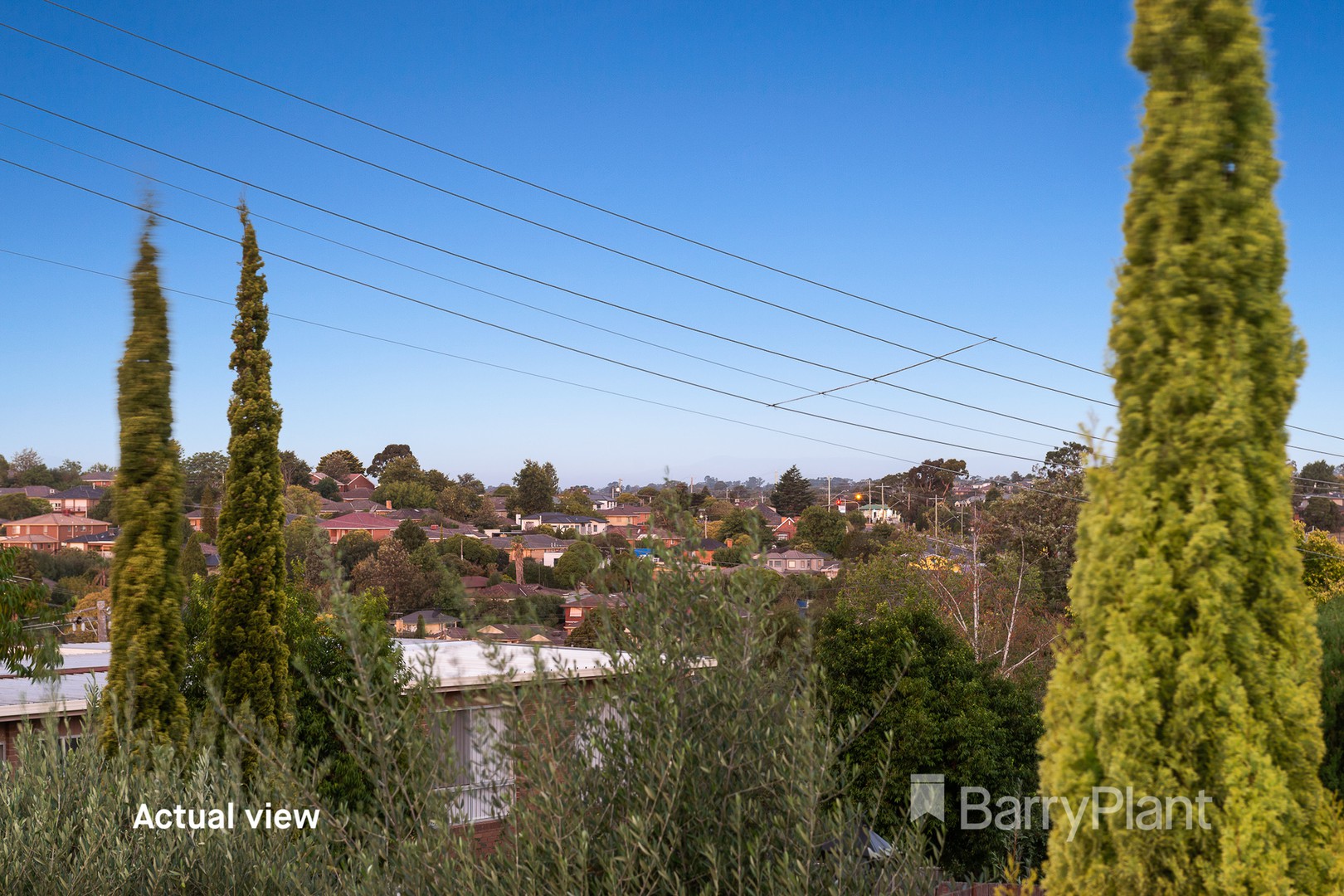 22 Margate Street, Brighton, SA, 5048, Brighton - Thumbnail 8