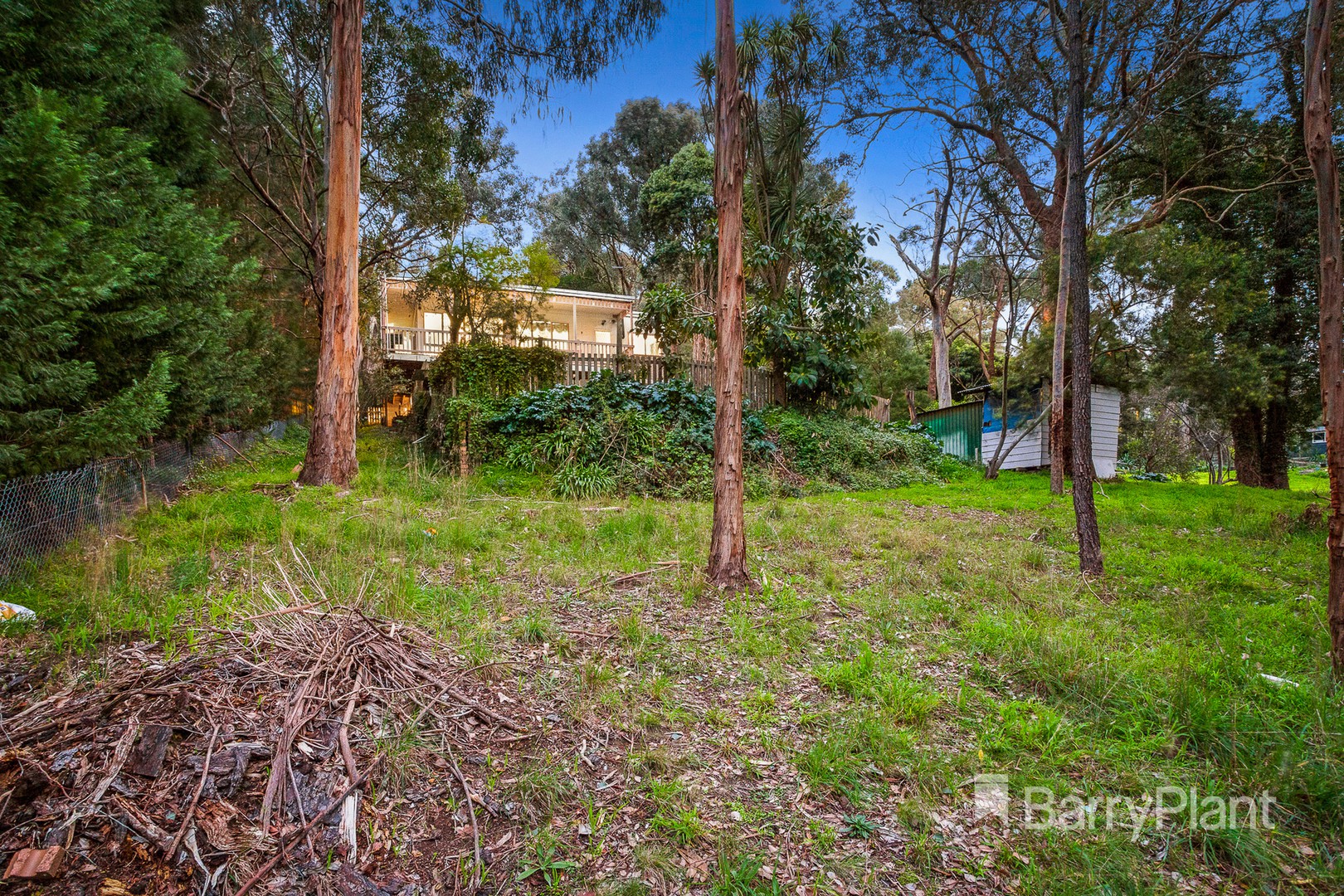 72 Golden Wattle Crescent, Thornton, NSW, 2322, Thornton - Thumbnail 2
