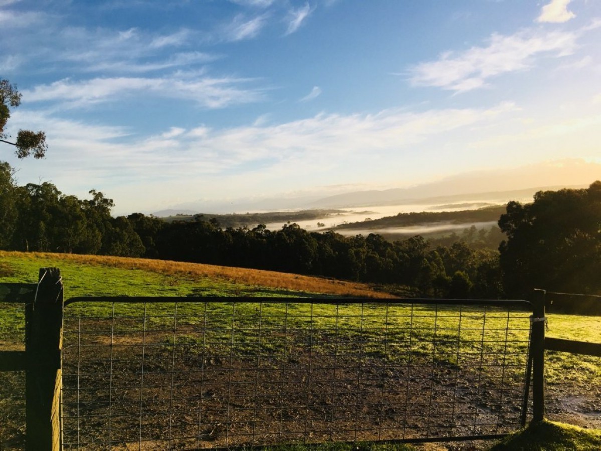 80 Rainy Hill Road, Cockatoo, VIC 3781 - Thumbnail 1 - 13/01/2020