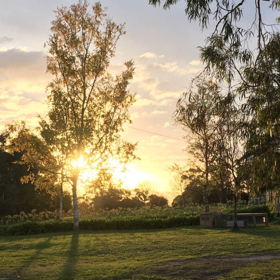 80 Rainy Hill Road, Cockatoo, VIC 3781 - Thumbnail 2 - 13/01/2020