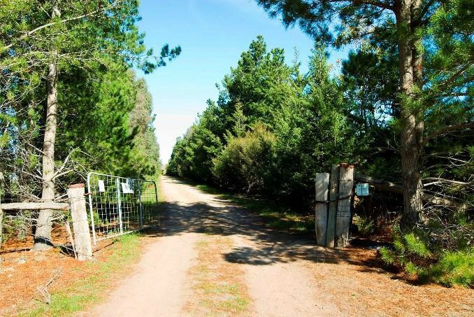 435 Konagadeera Road, Wildwood, VIC 3429 - Thumbnail 1 - 27/04/2020