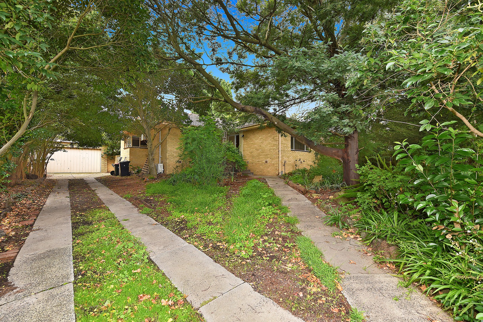 33 Roberts StreetGlen Waverley, VIC 3150, Glen Waverley - Thumbnail 3
