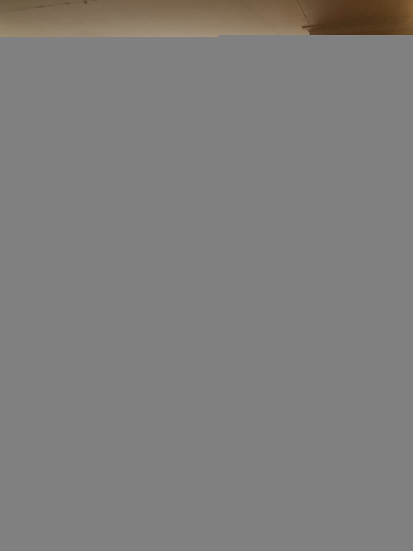 33 Roberts StreetGlen Waverley, VIC 3150, Glen Waverley - Thumbnail 5