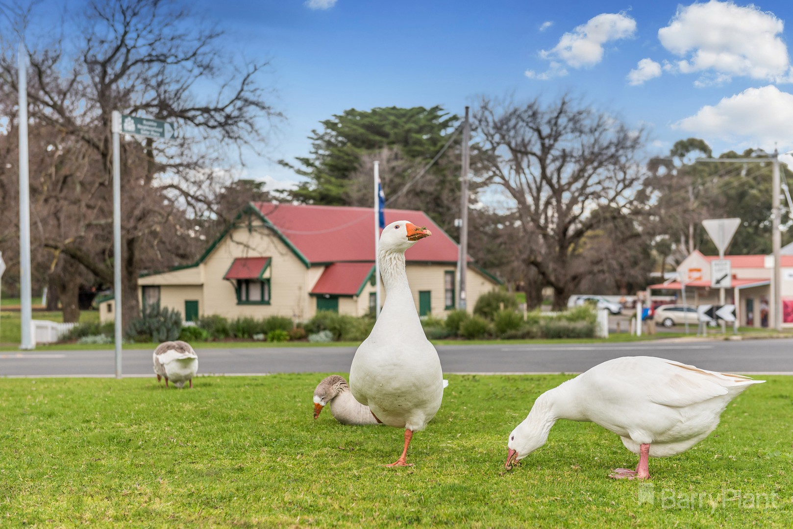 Rangeview Estate, Riddells Creek, VIC, 3431, Riddells Creek - Thumbnail 4
