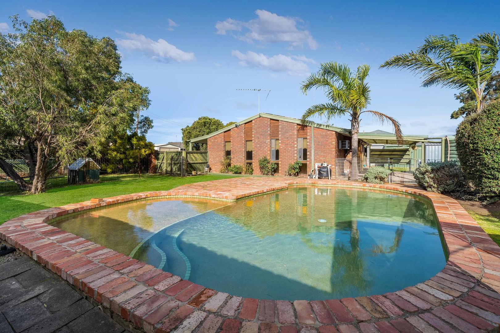 26 Grove RoadMarshall, VIC 3216, Marshall - Thumbnail 2