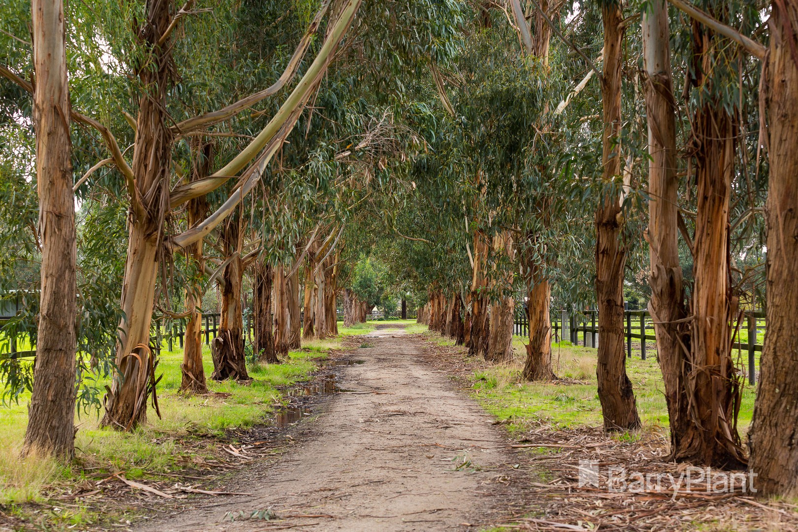 754 Frankston-Flinders RoadBaxter, VIC 3911, Baxter - Thumbnail 7