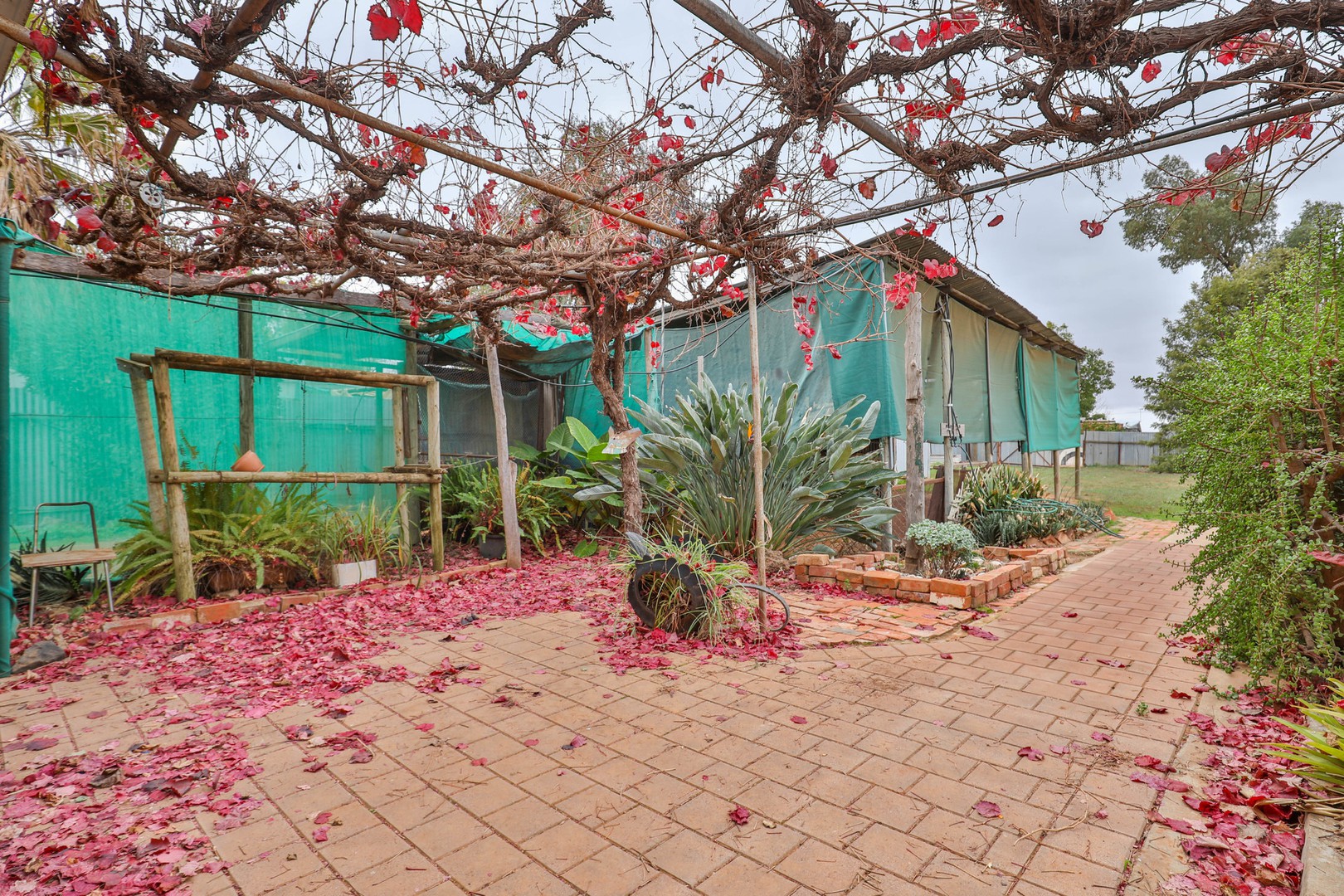 18 Lachlan ParadeRed Cliffs, VIC 3496, Red Cliffs - Thumbnail 8