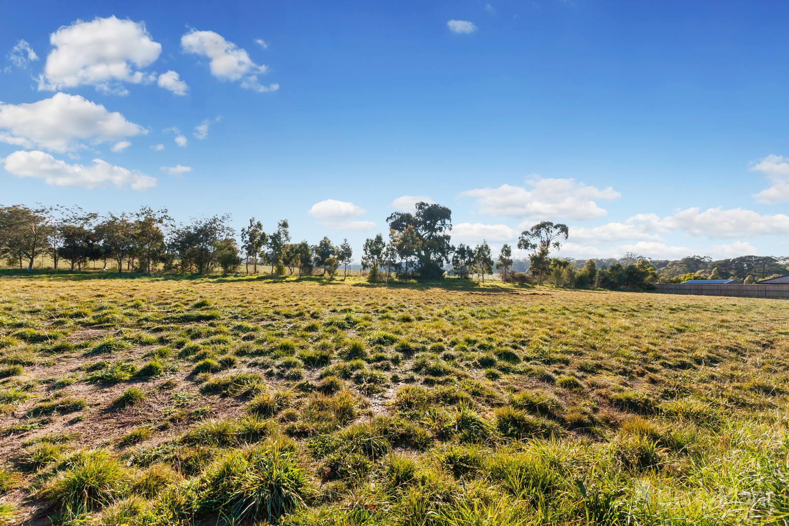 56 Berry Saltbush DriveWallan, VIC 3756, Wallan - Thumbnail 4