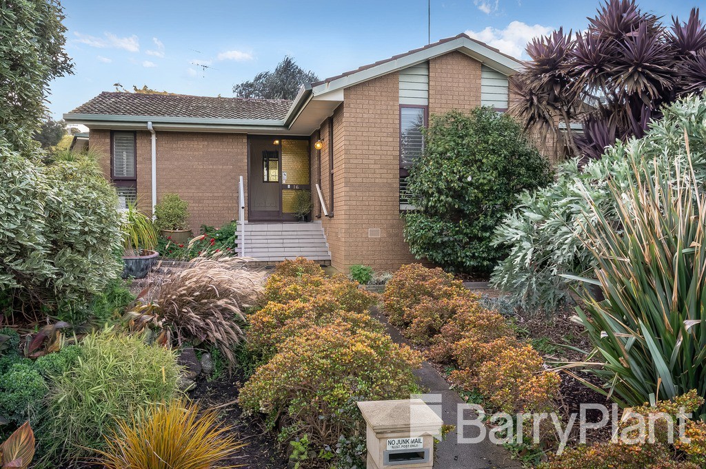 16 Duggan CourtHighton, VIC 3216, Highton - Thumbnail 4