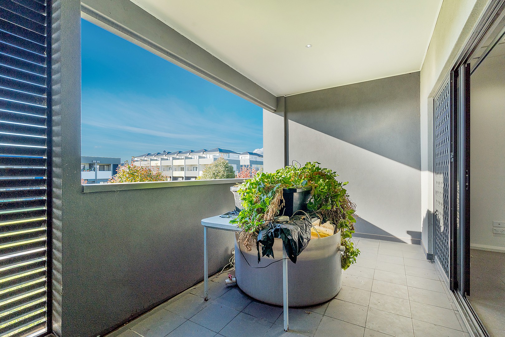 41 Northcott Street, South Wentworthville, NSW, 2145, South Wentworthville - Thumbnail 5