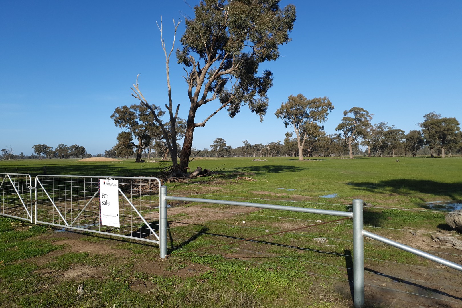 Two Chain Road, Arcadia South, VIC, 3631, Arcadia South - Thumbnail 2