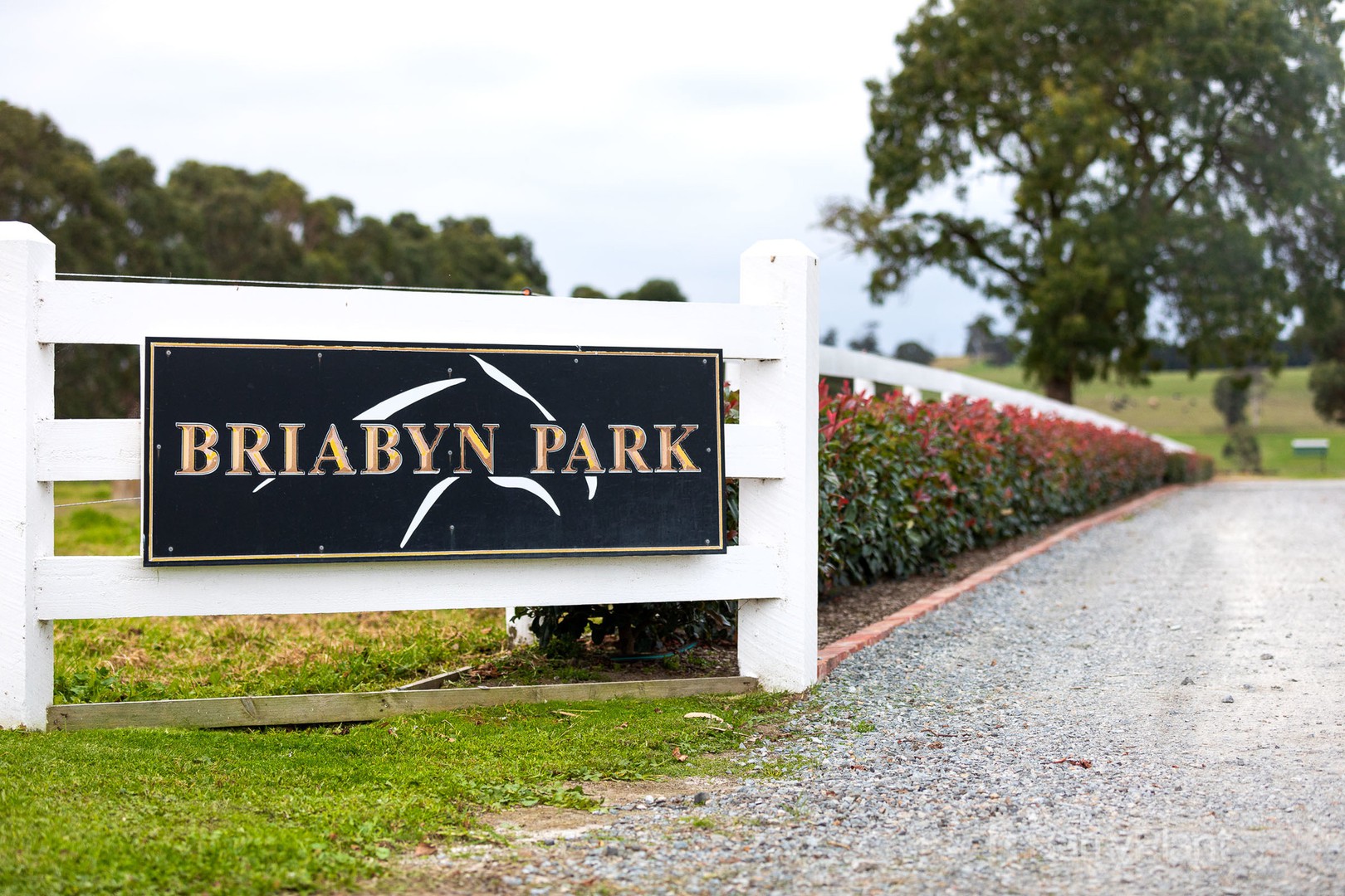 32 Wren Street, Hampton Park, VIC, 3976, Hampton Park - Thumbnail 2