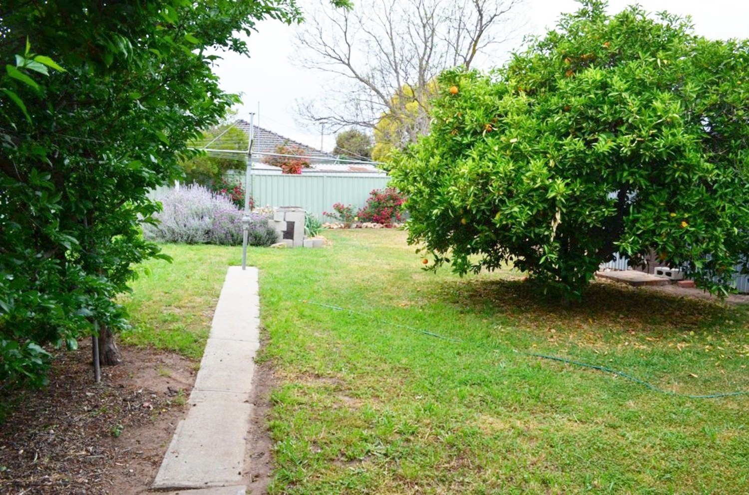 15 Gillies StreetShepparton, VIC 3630, Shepparton - Thumbnail 8