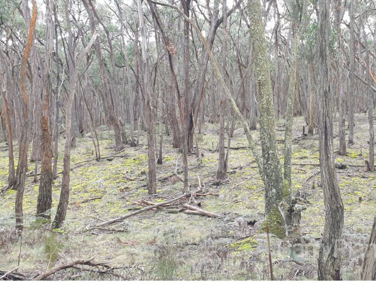 Lot: 2, Pittong-Snake Valley Road, Snake Valley, VIC 3351 - Thumbnail 2 - 03/09/2020