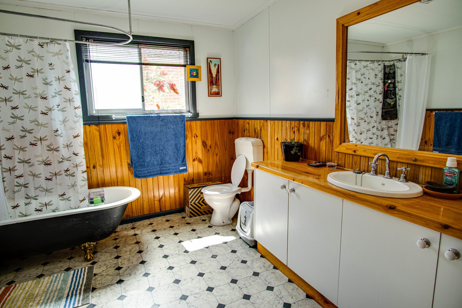 11 Camp StreetNathalia, VIC 3638, Nathalia - Thumbnail 6