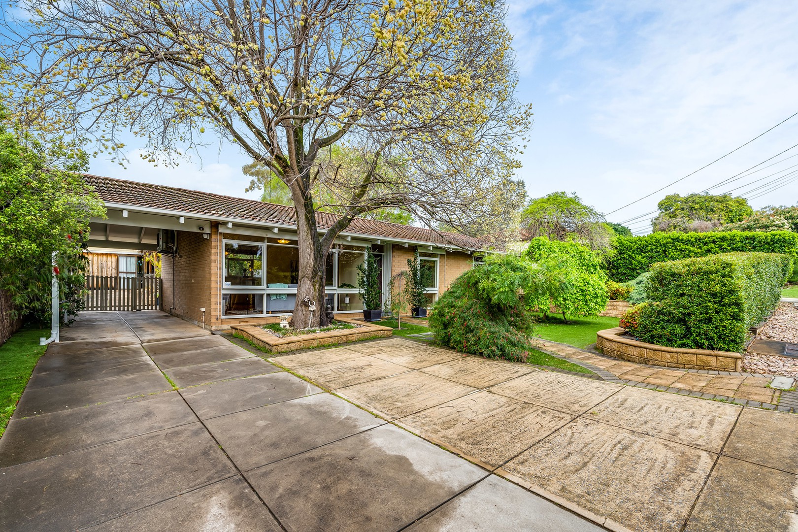 Shop 14 Bourke Rd, Clarinda Shopping Centre, Clarinda, VIC, 3169, Clayton South - Image 1